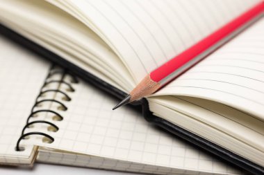 Kayıtlar için açık bir defter sayfalarında kalem