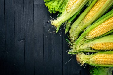 Mısır. Çiğ sebze siyah bir ahşap zemin üzerine. Üstten Görünüm. Metniniz için boş alan.