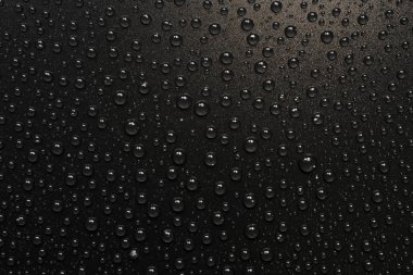 su siyah arka plan üzerine bırakır. Makro.