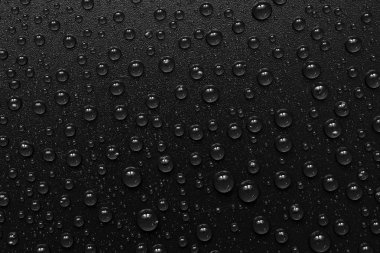 su siyah arka plan üzerine bırakır. Makro.