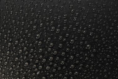 su siyah arka plan üzerine bırakır. Makro.