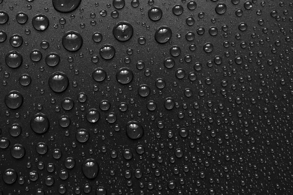 su siyah arka plan üzerine bırakır. Makro.