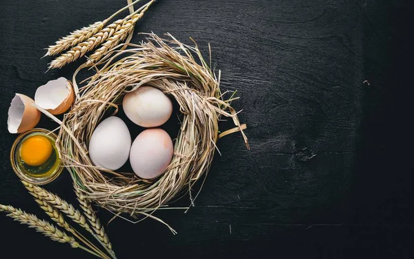 Tavuk yumurta yuvada. Ahşap resmi siyah bir arka plan için. Üstten Görünüm. Boş alan.