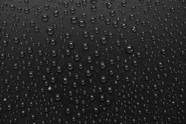 su siyah arka plan üzerine bırakır. Makro.