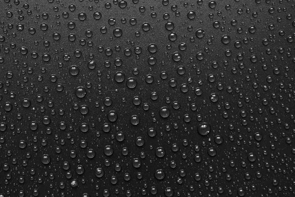 su siyah arka plan üzerine bırakır. Makro.