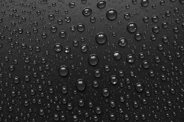 su siyah arka plan üzerine bırakır. Makro.