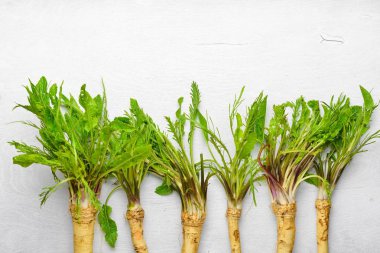 Taze horseradish. Beyaz ahşap Resepsiyon. Üstten Görünüm.