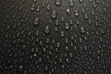 su siyah arka plan üzerine bırakır. Makro.