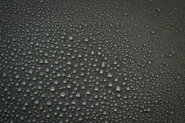 su siyah arka plan üzerine bırakır. Makro.