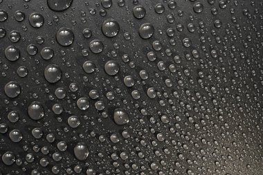 su siyah arka plan üzerine bırakır. Makro.