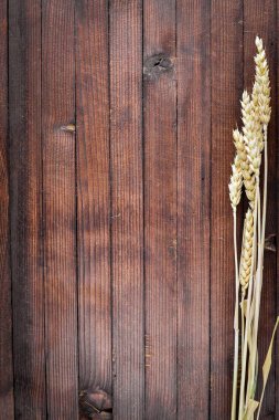 Buğday, yulaf, darı, arpa. Ahşap arka plan üzerinde. Üstten Görünüm.