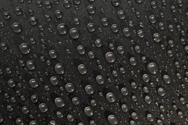 su siyah arka plan üzerine bırakır. Makro.