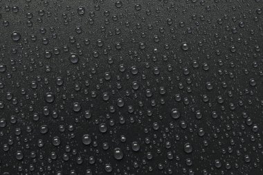 su siyah arka plan üzerine bırakır. Makro.