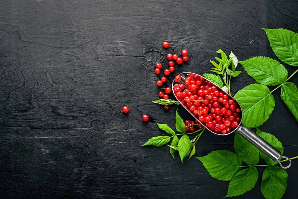 Frische rote Johannisbeeren auf einem hölzernen Hintergrund. Ansicht von oben. Freiraum. — Stockfoto