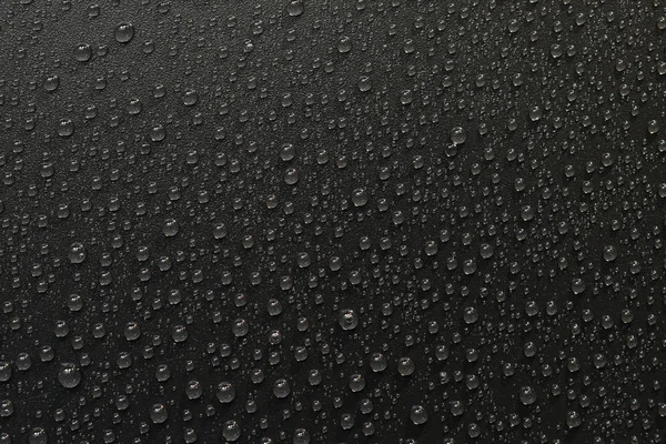 su siyah arka plan üzerine bırakır. Makro.