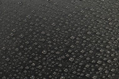 su siyah arka plan üzerine bırakır. Makro.