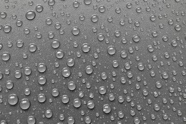 su siyah arka plan üzerine bırakır. Makro.