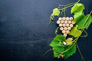 Üzüm cinayet sebebi. Şarap ve üzüm yaprakları mantar. Üstten Görünüm. Boş alan.
