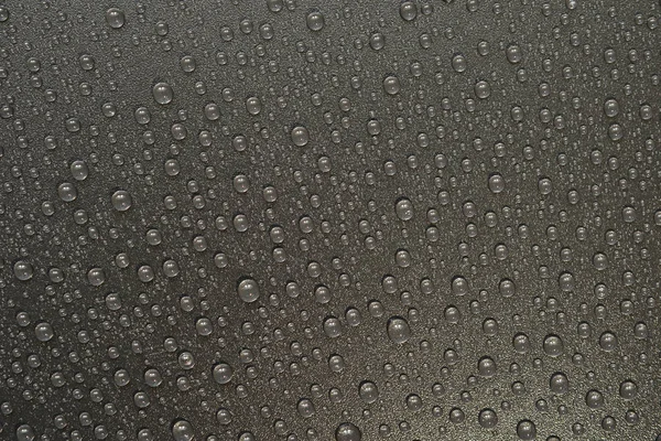 su siyah arka plan üzerine bırakır. Makro.