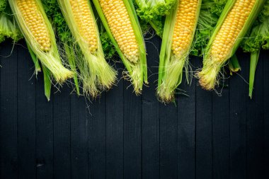 Mısır. Çiğ sebze siyah bir ahşap zemin üzerine. Üstten Görünüm. Metniniz için boş alan.