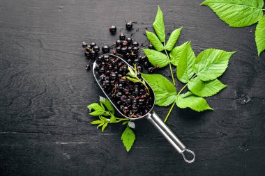 Ahşap arka plan üzerinde taze siyah kuş üzümü. Üstten Görünüm. Boş alan.