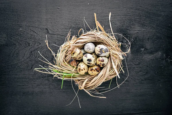 Vaktelägg. Trä bakgrund. Ovanifrån. Ledigt utrymme. — Stockfoto