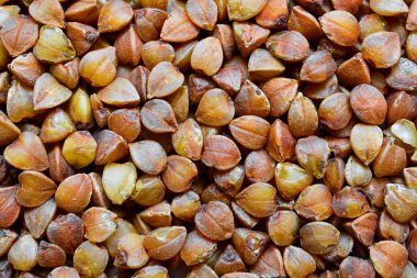 Buğday. Makro fotoğraf. 