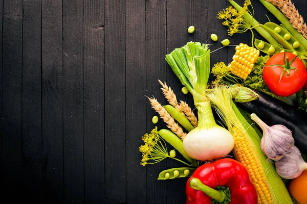 Verduras frescas crudas y especias — Foto de Stock