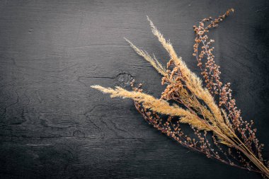 Kuru otlar ve baharatlar. Üstten Görünüm. Boş alan.