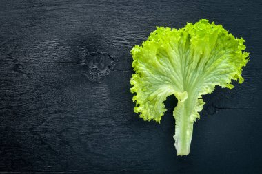 Marul. Çiğ sebze üst görünümü. Metniniz için boş alan.