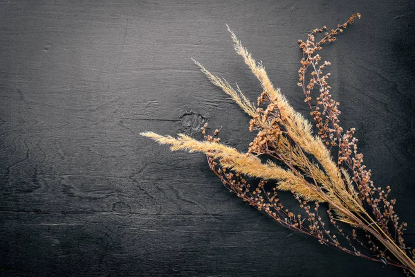 Kuru otlar ve baharatlar. Üstten Görünüm. Boş alan.