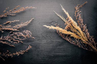 Kuru otlar ve baharatlar. Üstten Görünüm. Boş alan.