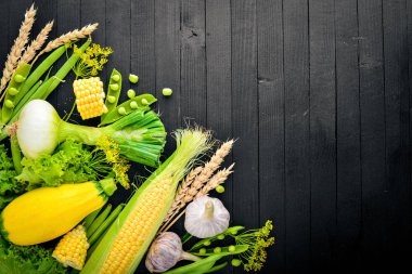 Çok çeşitli ham taze sebze. Mısır, kabak, marul, yeşillik. Siyah ahşap arka plan üzerinde. Üstten Görünüm. Metniniz için boş alan.