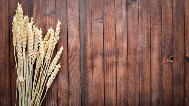 Buğday, yulaf, darı, arpa. Ahşap arka plan üzerinde. Üstten Görünüm.