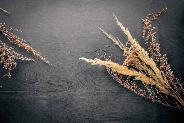 Kuru otlar ve baharatlar. Üstten Görünüm. Boş alan.