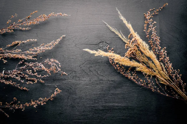 Kuru otlar ve baharatlar. Üstten Görünüm. Boş alan.