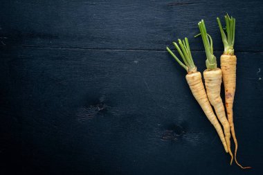 Maydanoz. Kök maydanoz. Ahşap bir arka plan üzerinde. Üstten Görünüm. Metin için boş alan.