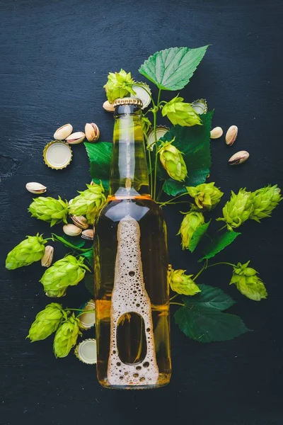 Una botella de cerveza, lúpulo y grano. Vista superior. Espacio libre para texto . — Foto de Stock