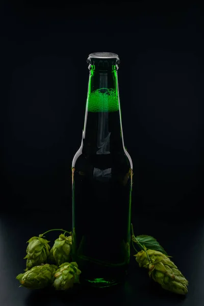 En flaska öl. Ovanifrån. Ledigt utrymme för text. — Stockfoto