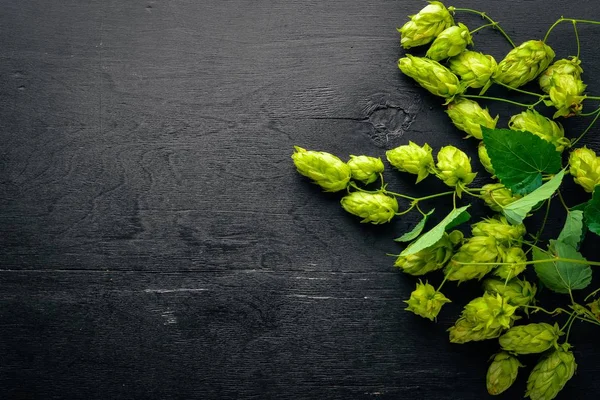Hops on a wooden background. Top view. Free space for text. — Stock Photo, Image