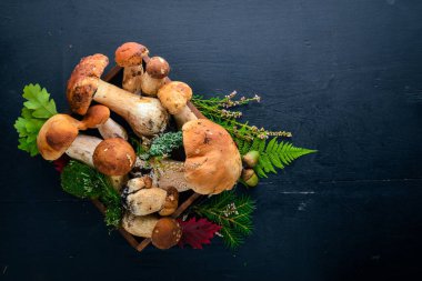 Mantar çörek. Siyah ahşap zemin taze orman mantar. Üstten Görünüm. Metin için boş alan.