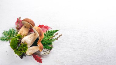 Mantar çörek. Orman bir beyaz ahşap arka plan üzerinde mantar. Üstten Görünüm. Metin için boş alan.