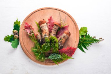 Orman bir beyaz ahşap arka plan üzerinde mantar. Üstten Görünüm. Metin için boş alan.