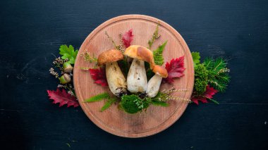 Mantar çörek. Siyah ahşap zemin taze orman mantar. Üstten Görünüm. Metin için boş alan.