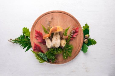 Mantar çörek. Orman bir beyaz ahşap arka plan üzerinde mantar. Üstten Görünüm. Metin için boş alan.