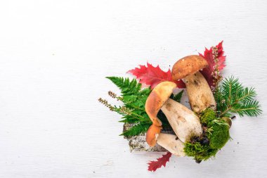 Mantar çörek. Orman bir beyaz ahşap arka plan üzerinde mantar. Üstten Görünüm. Metin için boş alan.