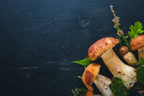 Гриб Болетус. Свежие лесные грибы на черном деревянном фоне. Вид сверху. Свободное место для текста . — стоковое фото
