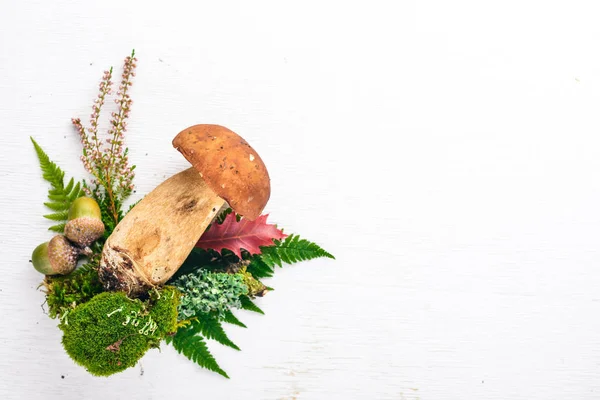 Fungo Boletus. Funghi di foresta su uno sfondo di legno bianco. Vista dall'alto. Spazio libero per il testo . — Foto Stock