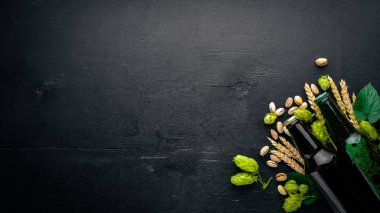 Karanlık ve aydınlık bira ve bira en iyi görünüm için içecekler bira büyük bir seçim. Metin için boş alan.