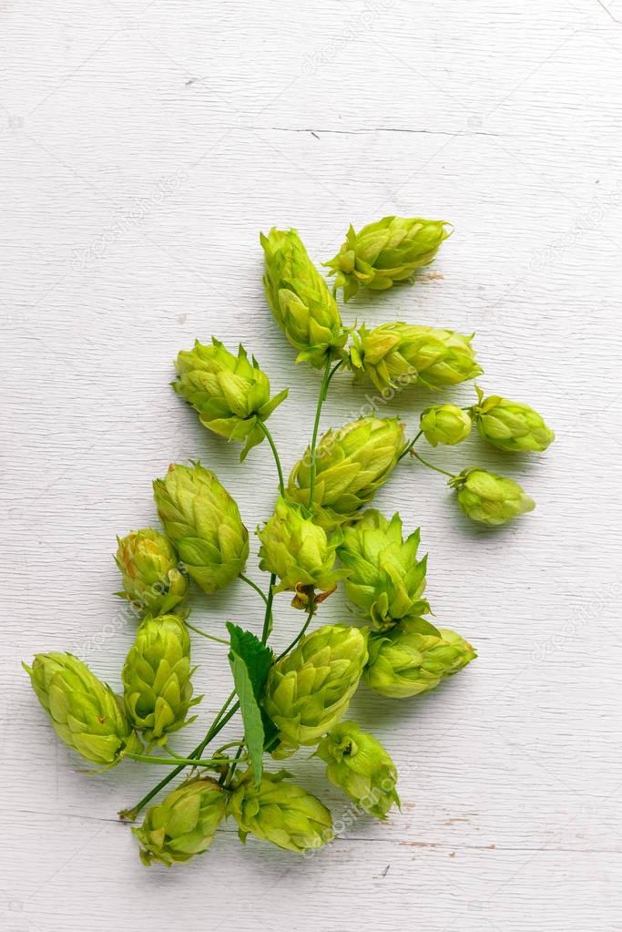 Hops on a wooden background. Top view. Free space for text.